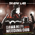 Skank Lab 03