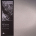 AVN LP RMX 01