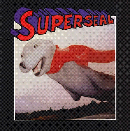 安価 ワタナベ Skratchy - Breaks SuperSeal Seal, Style Dirt - Q-Bert DJ 洋楽