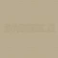 Invisible 04