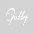 Gully 01