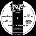 Ibiza Riq 03