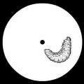 Weevil Larva