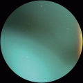Soma 536
