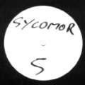 Sycomor 05