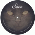 Suara 401