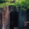 Biotope 05