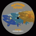 Pleistocene Future 11