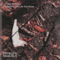 PainFree Found Sound 11-12 CD