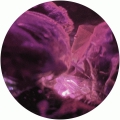 Void 1 06
