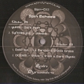 Spin Dynamics 02