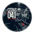 Citrus 41