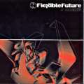 Flexible Future 03