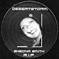Desert Storm 06