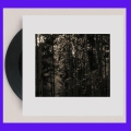 Diffuse Reality 05