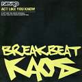 Breakbeat Kaos 29