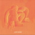 Livity Sound 29