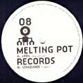 Melting Pot 08