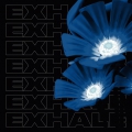Exhale 05 A