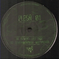 Plesn 01