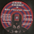 Dark Rabbit 04