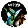 Transelucid 05