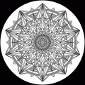 Flatlife 16