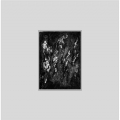 Askorn Various 05