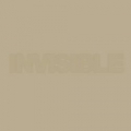 Invisible 18