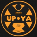 Up Ya Archives 14