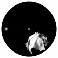 Stroboscopic Artefacts 30