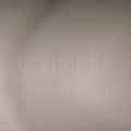 Invisible 12