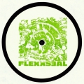 Flexxseal 06