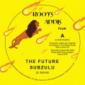 Roots Addis Muzik 702