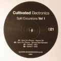 Cultivated Electronics 21