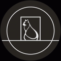 Particle Audio 01