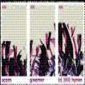 Hymen 36