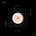 Drumcode LTD 41