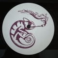 Flipsight White 02