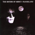 The Sisters Of Mercy Floodland