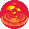 Flying Agaric 06