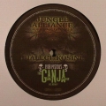 Jungle Alliance 02