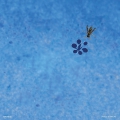 Artscore LP 03