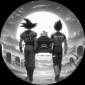 Capsule Corp 14