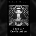 Gazoil En Reunion
