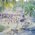 Sound Migration 02