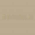 Invisible 02