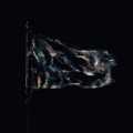Viernulvier 10
