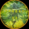 Target 00
