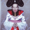 Bjork Homogenic